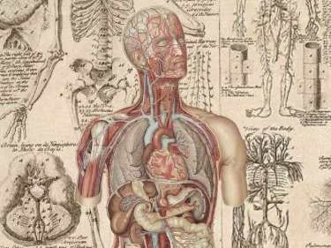 Cover image for Scientific Copywriting : Bringing Facts to Life