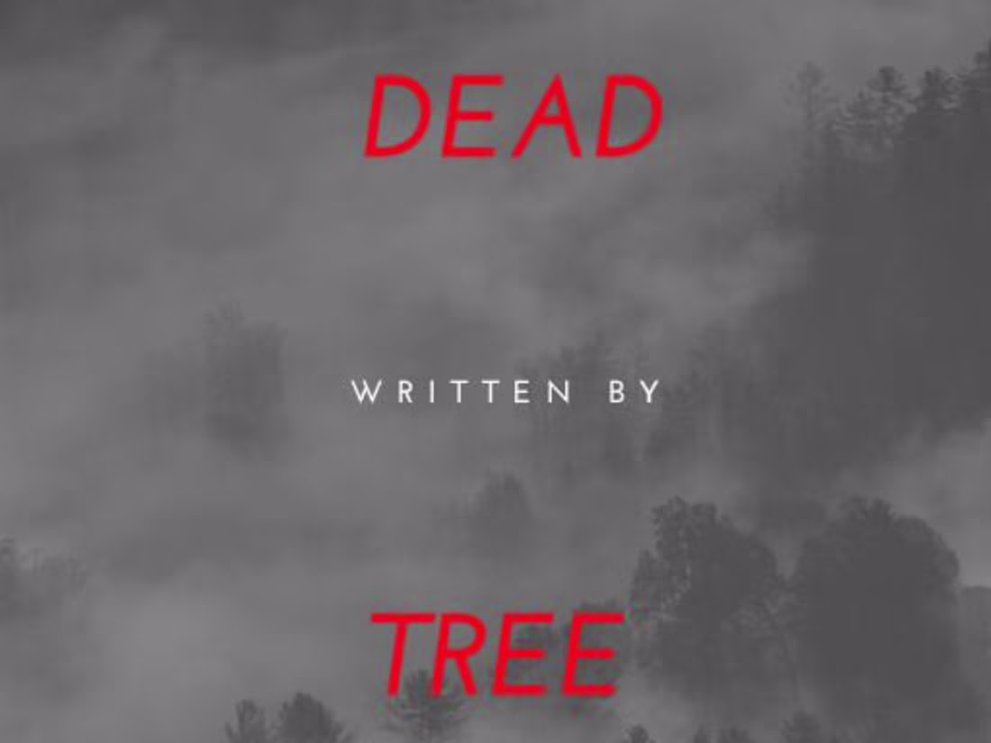 Cover image for My Poetry Book