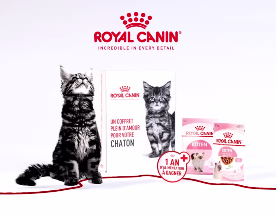Cover image for Royal Canin - Discovery Box