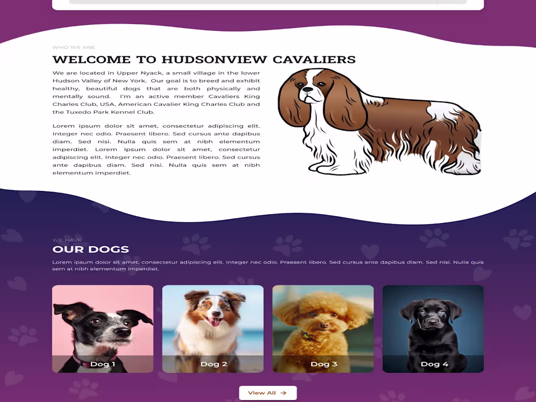 Cover image for Landing Page Design for pet