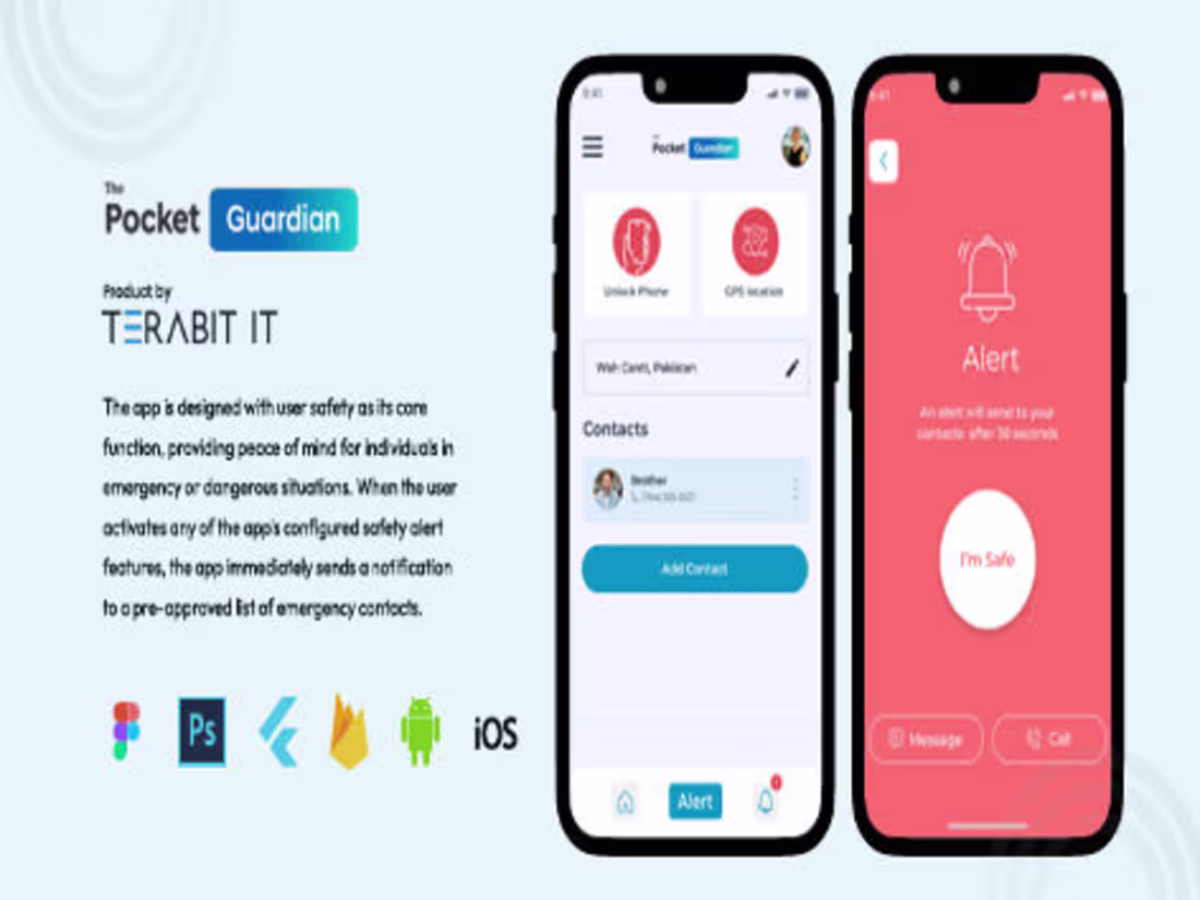 Cover image for Pocket Guardian 