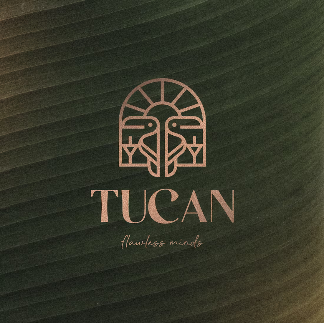 Cover image for Tucan - Logo Design