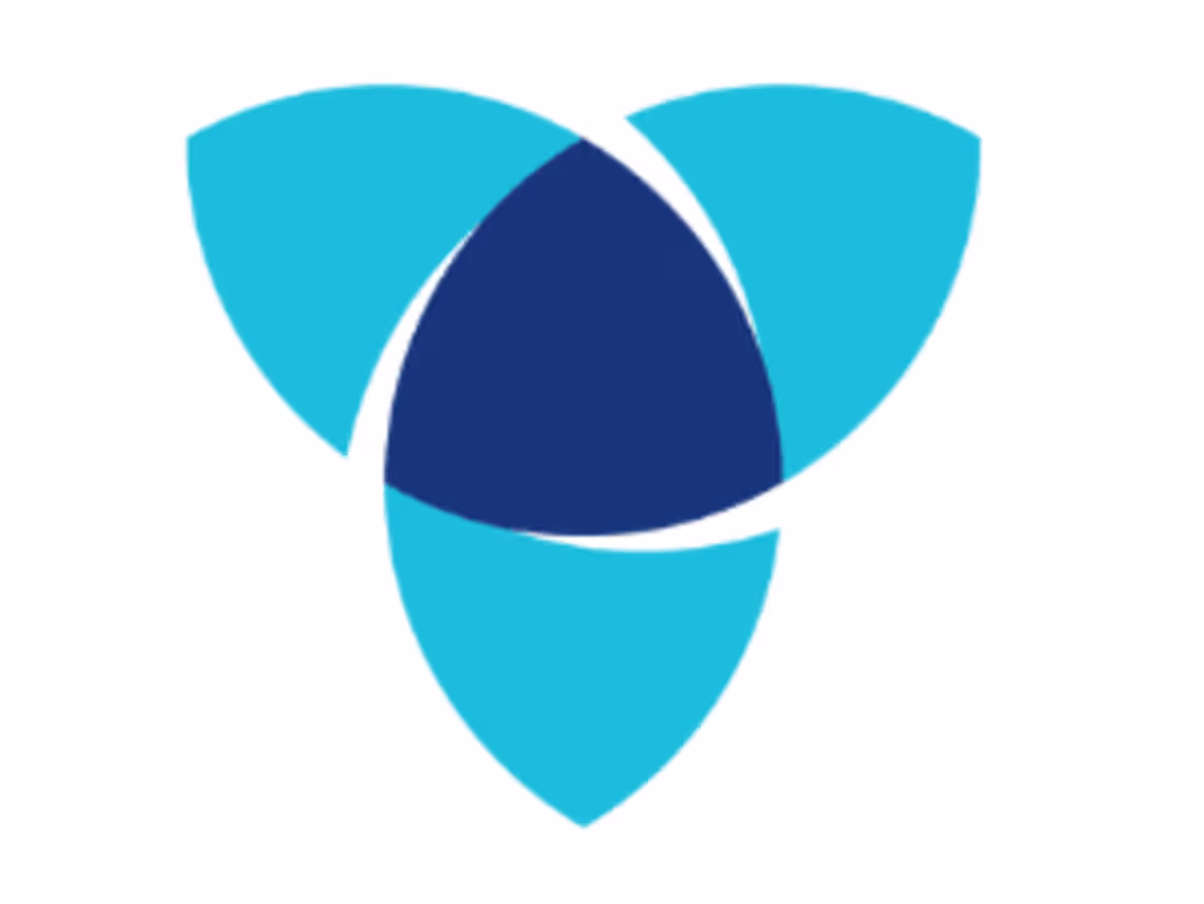 Cover image for Lead full stack engineer - Trinity Perspectives