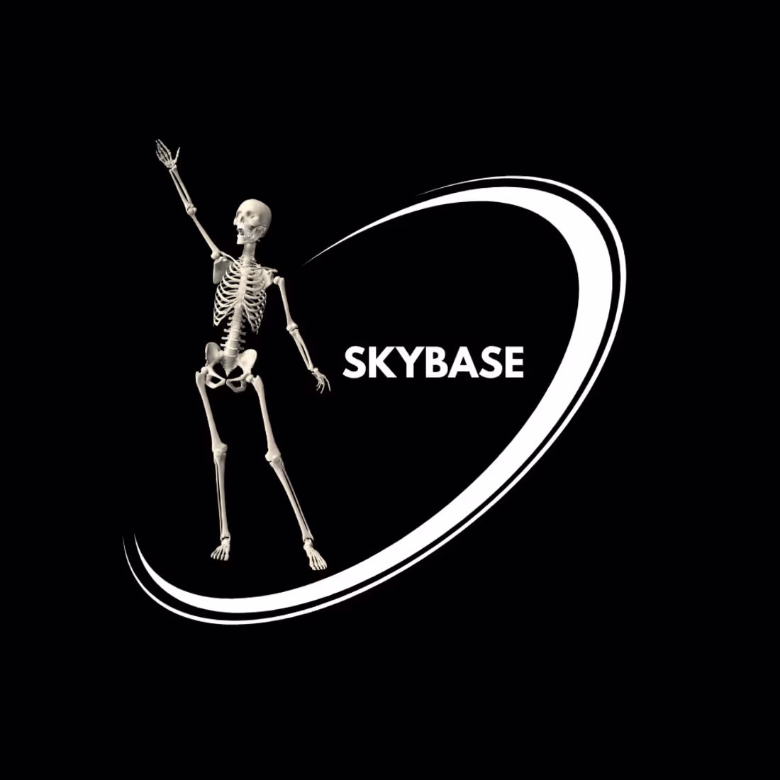 Cover image for UNIQUE LOGO FOR SKYBASE