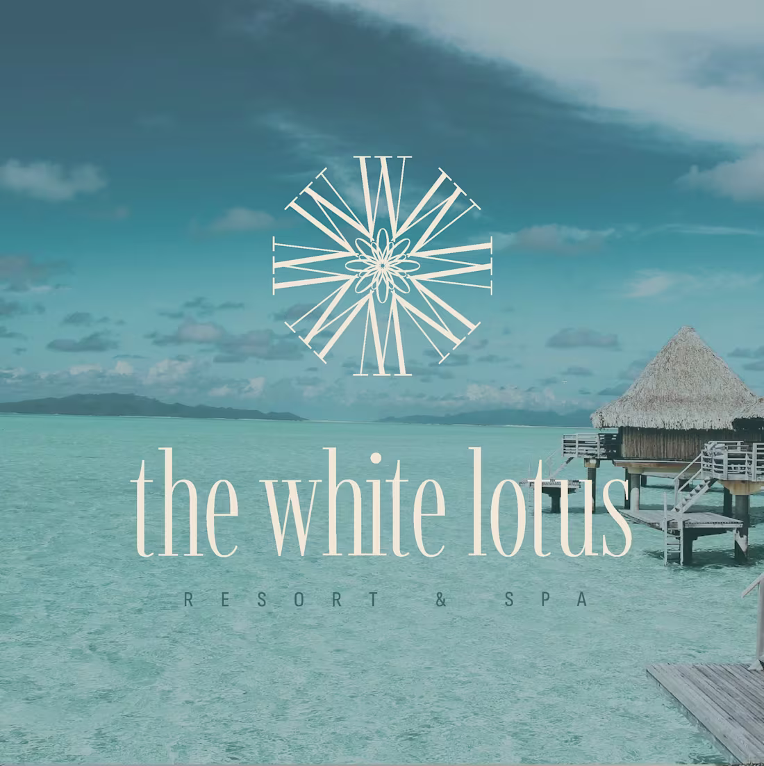 Cover image for The White Lotus