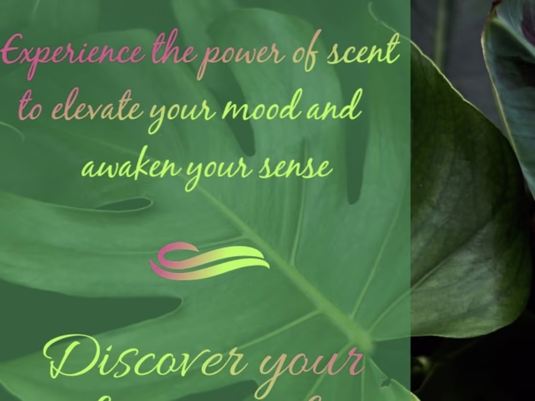 Cover image for Website Content for a Beauty Brand