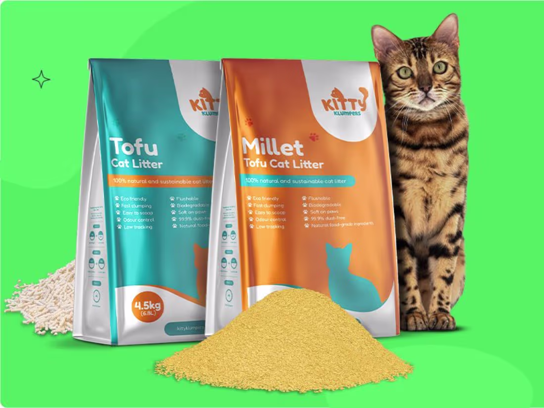 Cover image for Kitty Klumpers Video