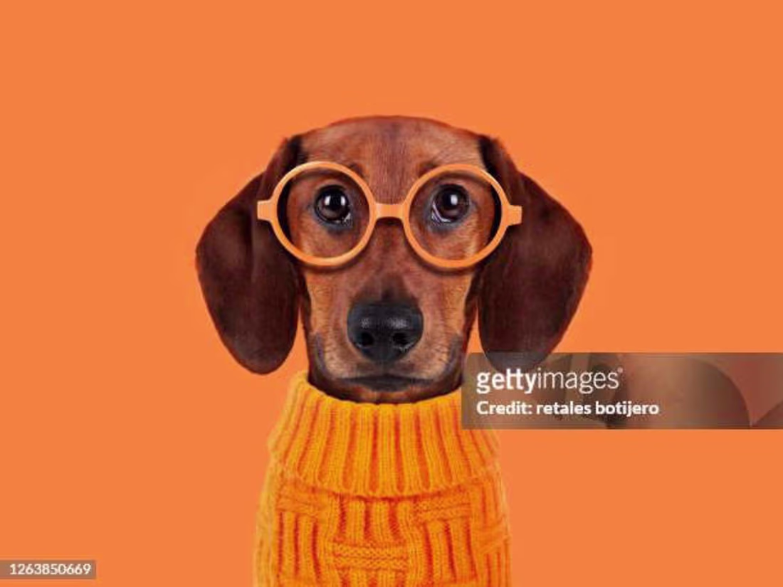 Cover image for dewqfwef