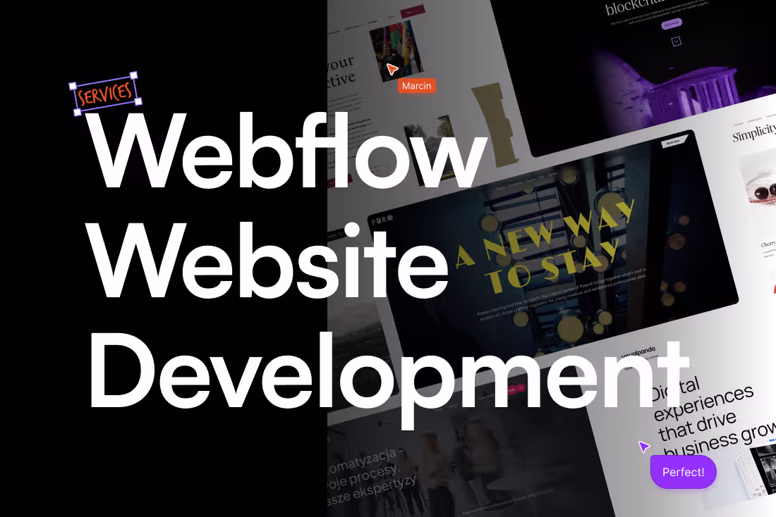 Cover image for Webflow / Website Development