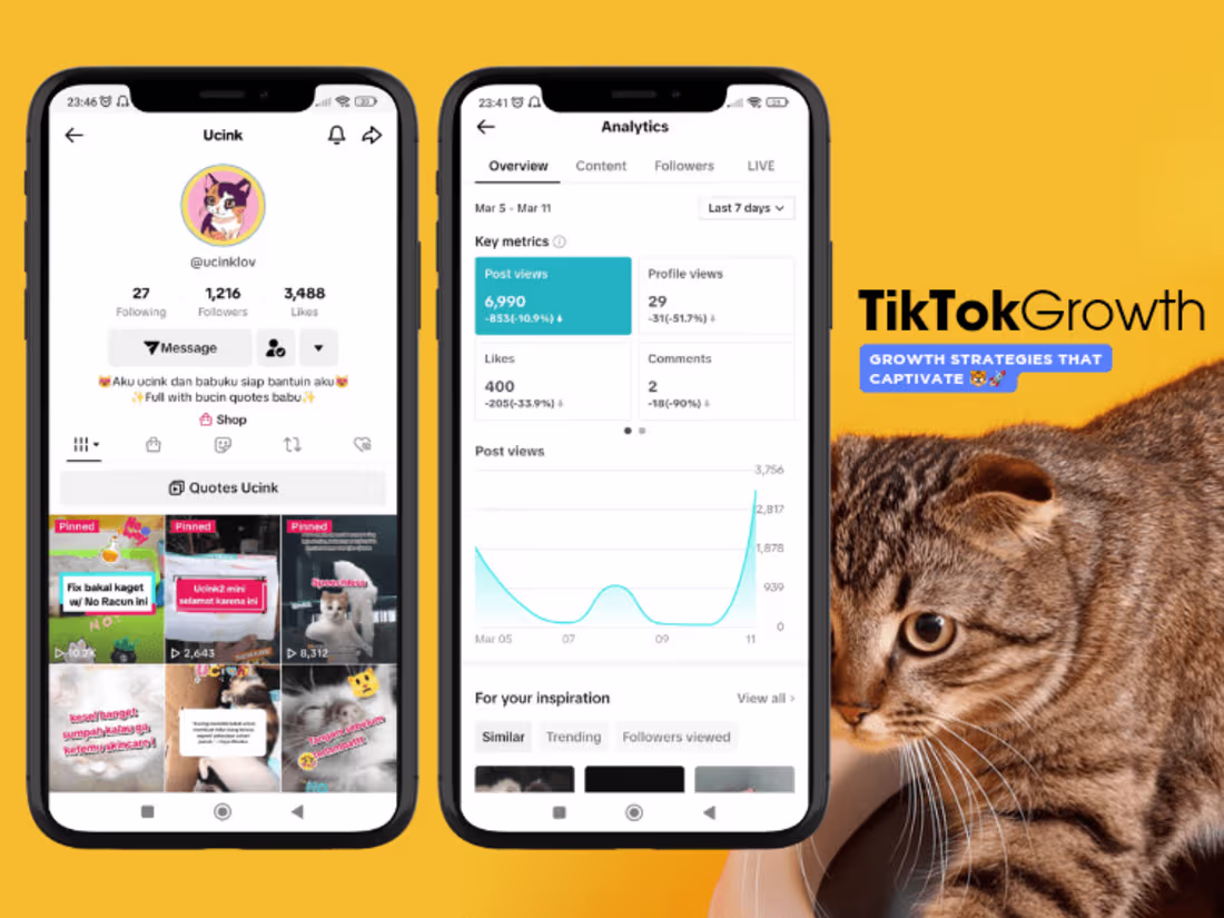 Cover image for TikTok Growth Strategy
