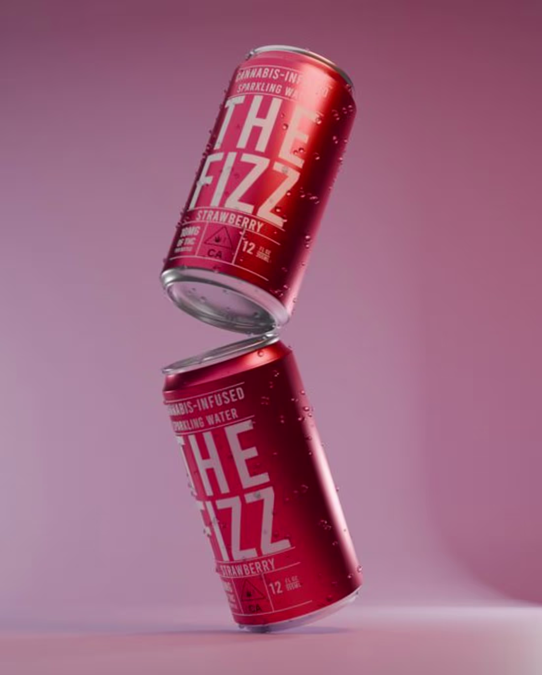 Cover image for Carola Creative Studio on Instagram: “Shots taken from an anima…