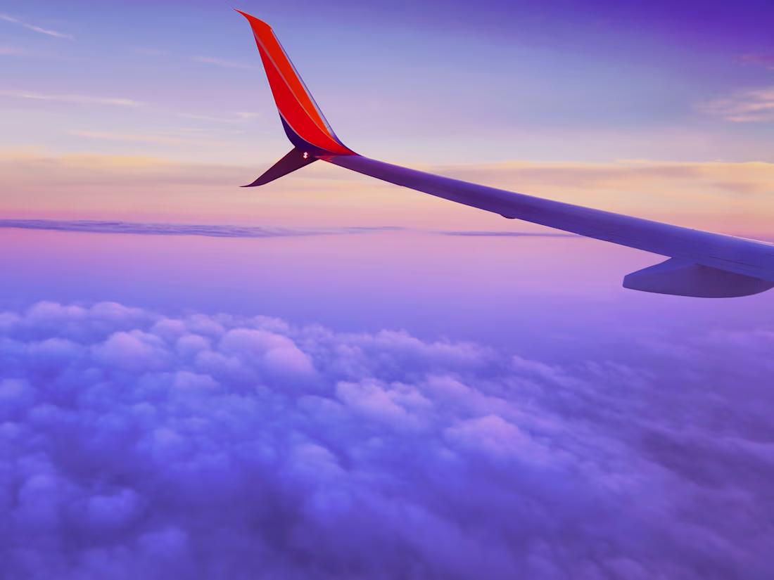 Cover image for Flightline / Brand Identity