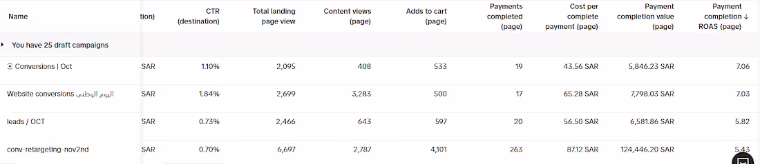 Cover image for Doobzi | Boosting Brand Visibility on TikTok and Snapchat