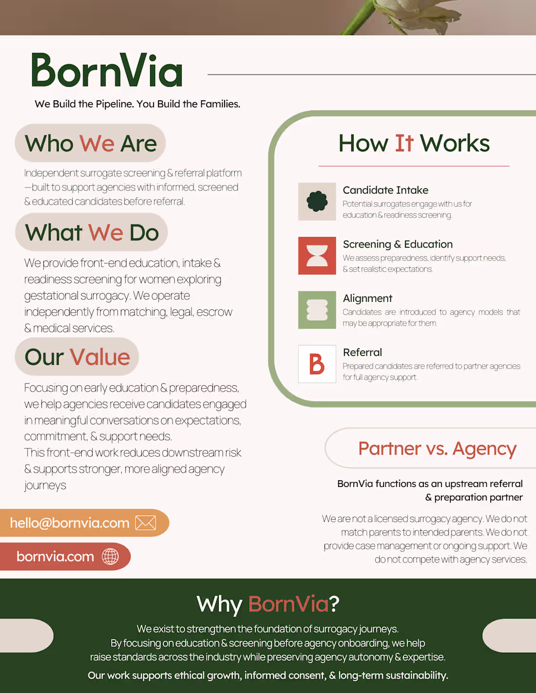 Cover image for One-Pager Designs for a client