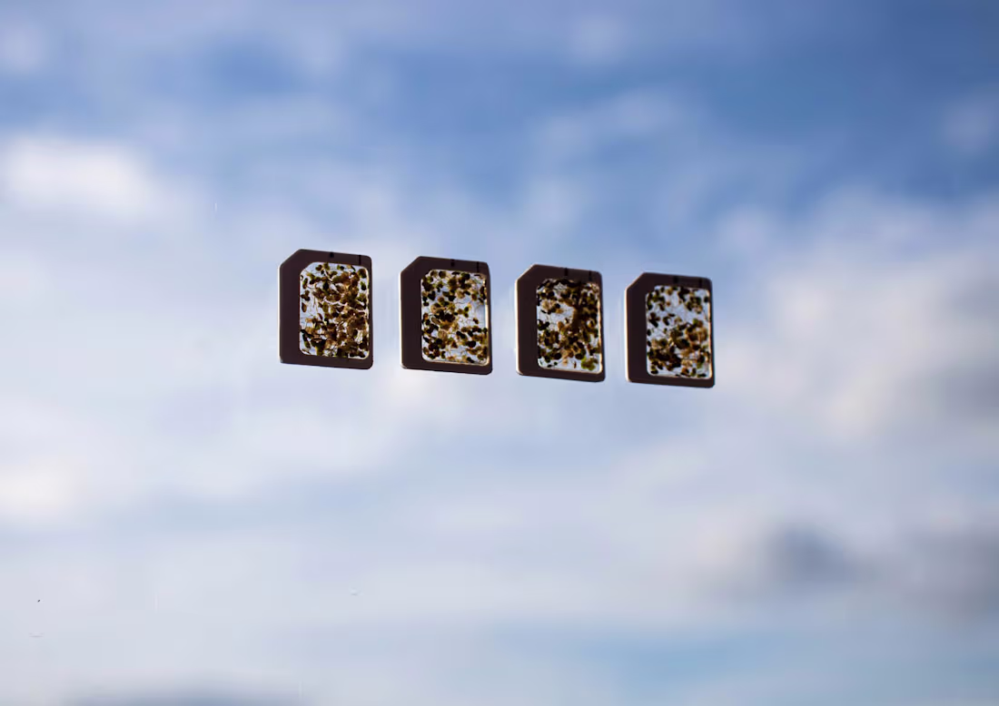 Cover image for BREATHE, THE NEW AIR