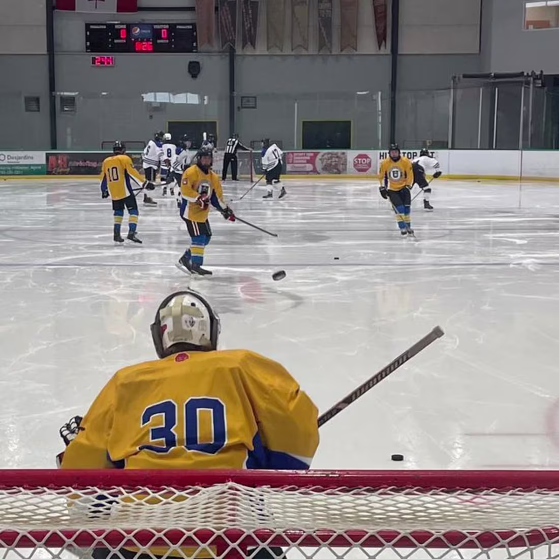 Cover image for Lakehead Men & Women Hockey Tournament