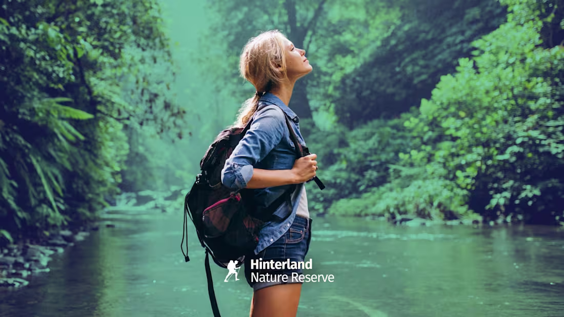 Cover image for Website Design for Sustainable Brands