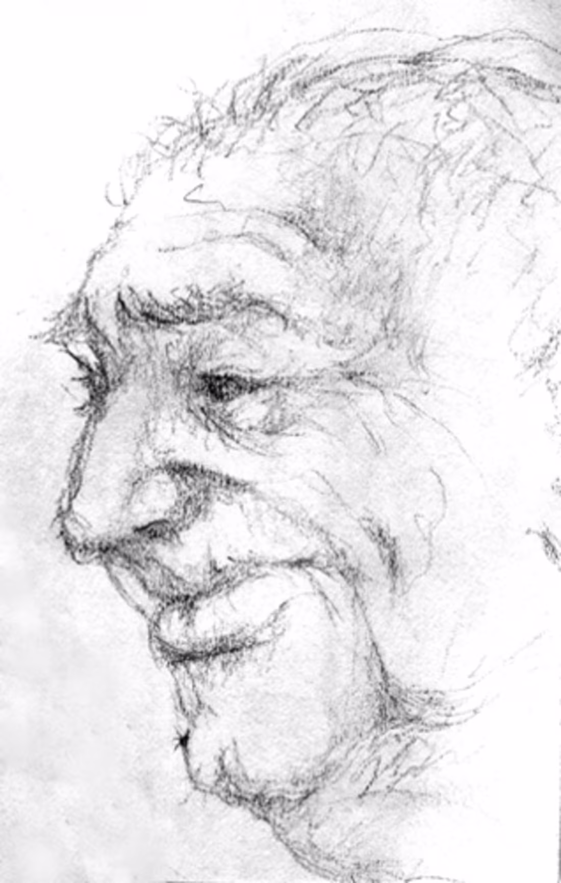 Cover image for Old Sketch