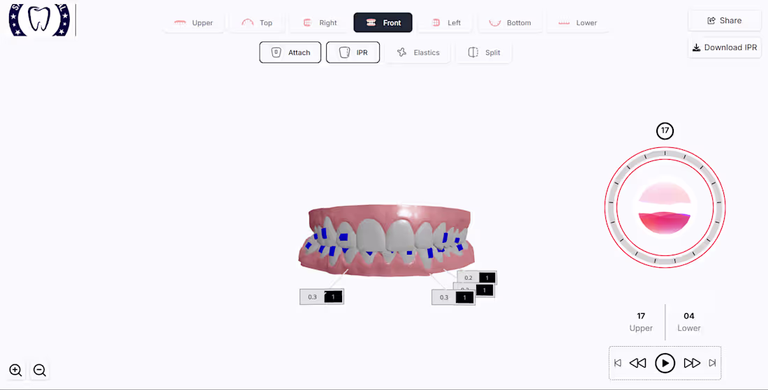 Cover image for Dubai Smiled