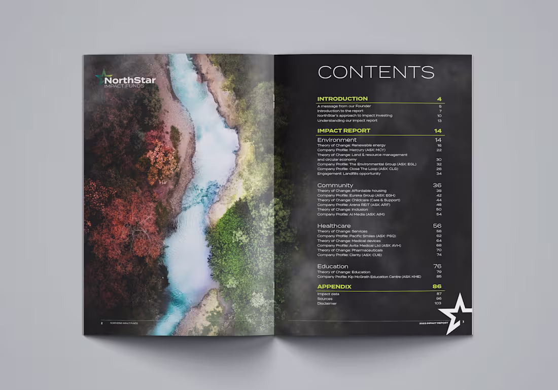 Cover image for NorthStar Impact Report 