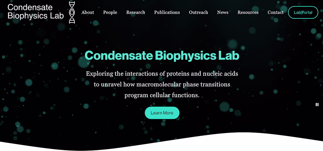 Cover image for Biophysics Lab Website and Branding