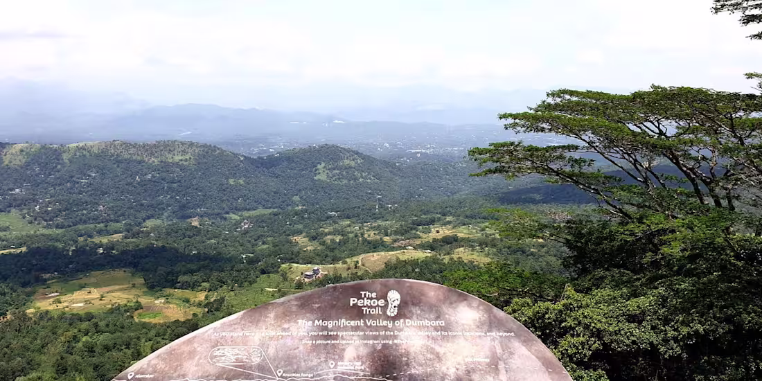 Cover image for SEO Writing & Optimisation for Luxury Travel 