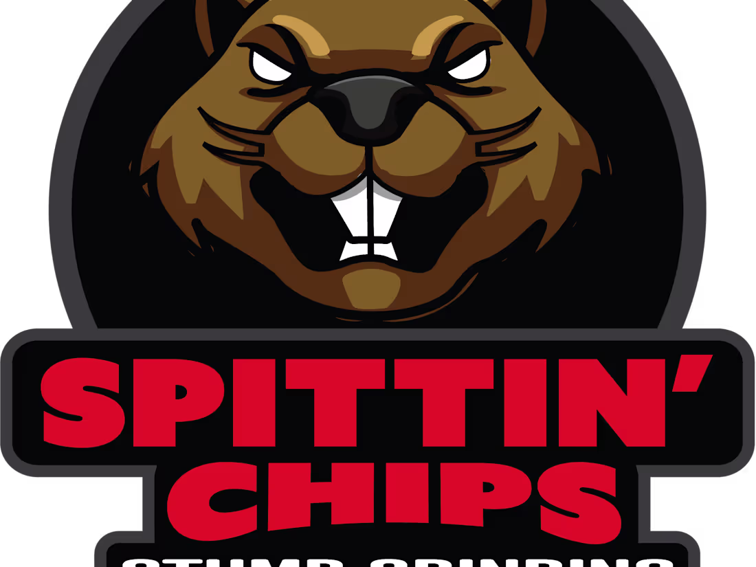 Cover image for Corporate Logo Redesign