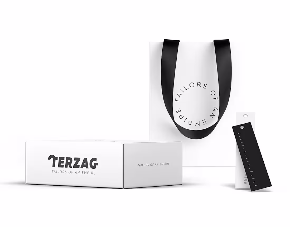 Cover image for Terzag