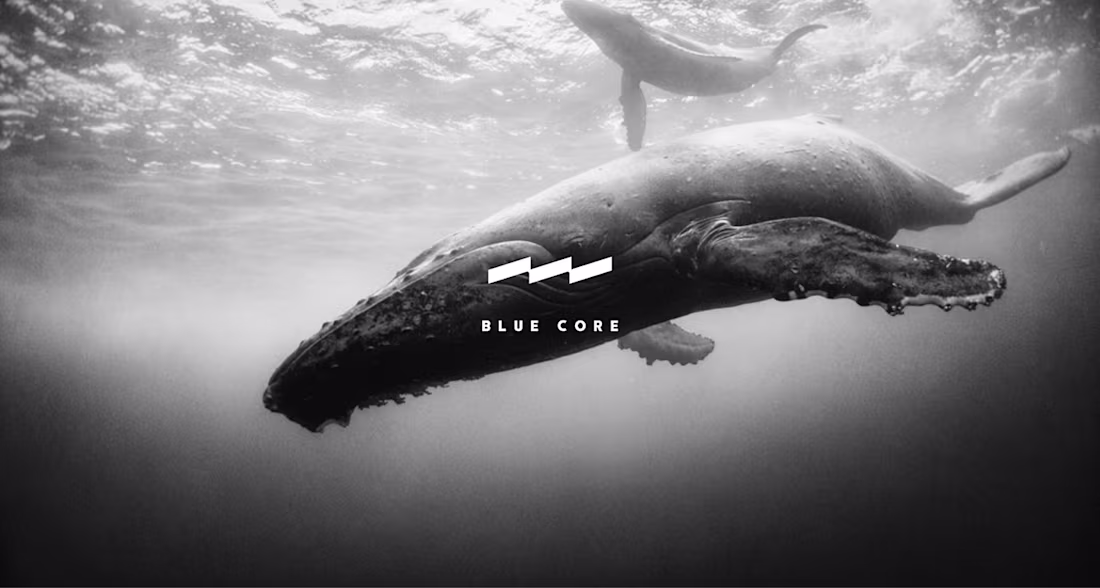 Cover image for Blue Core - Surf Dive Fish