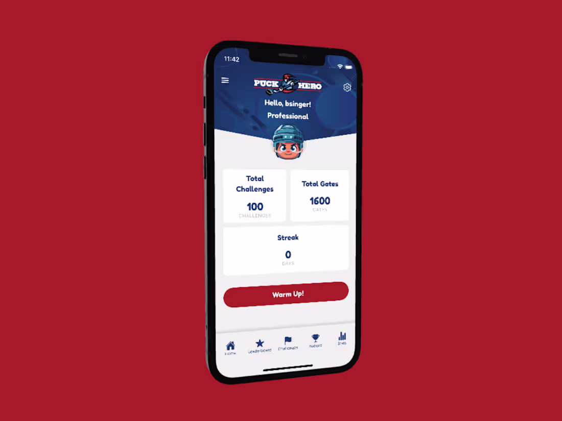 Cover image for Puck Hero