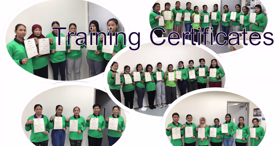 Cover image for Maid Agency: The Essential Guide to Finding the Right Maid 