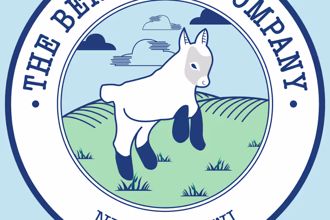 Cover image for The BeneBaby Company