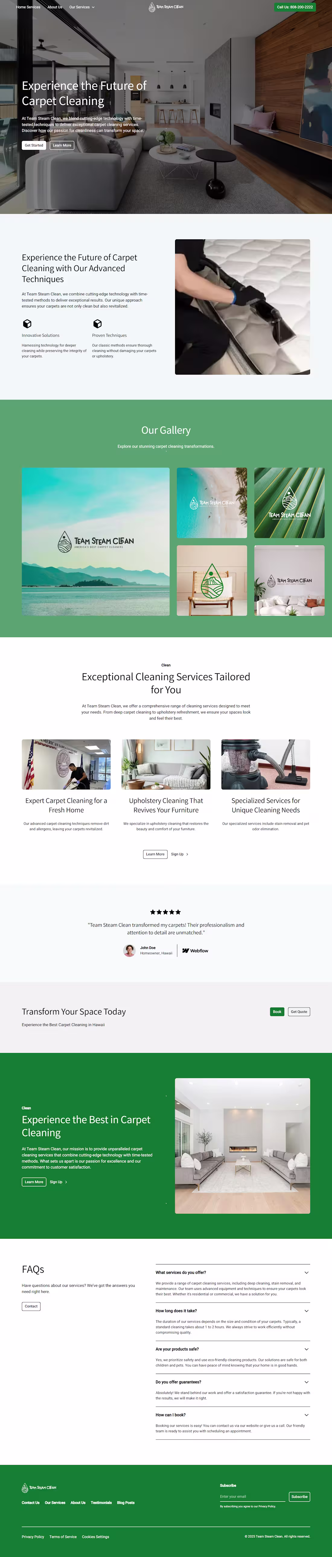 Cover image for Team Steam Clean