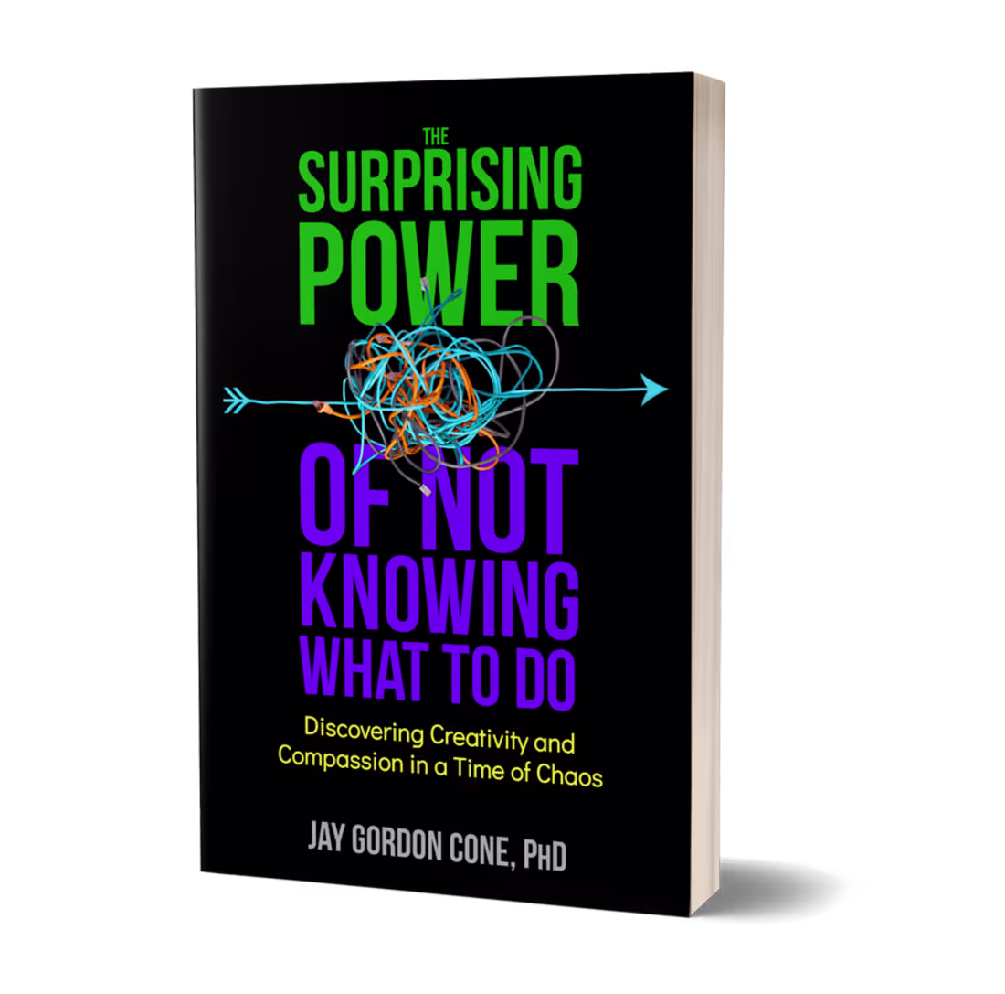 Cover image for Book Cover: The Surprising Power of Not Knowing What to Do