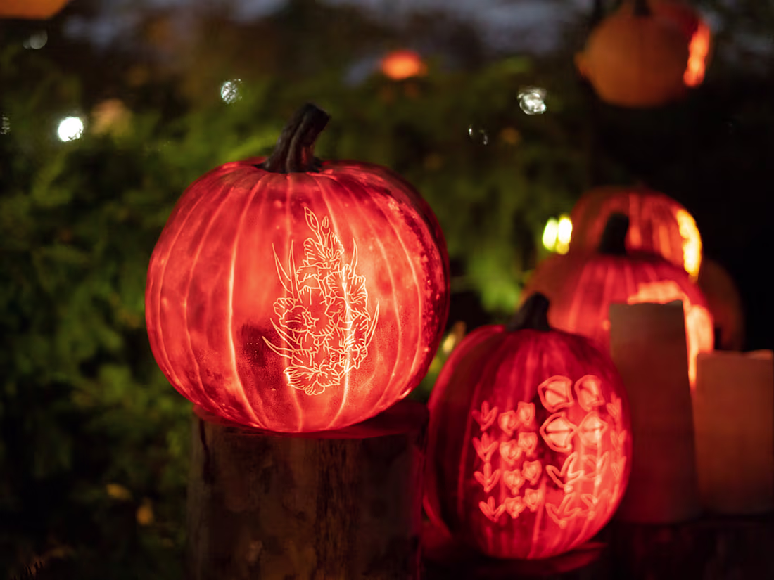 Cover image for Top 3 Trending DIY Halloween Decoration in 2023