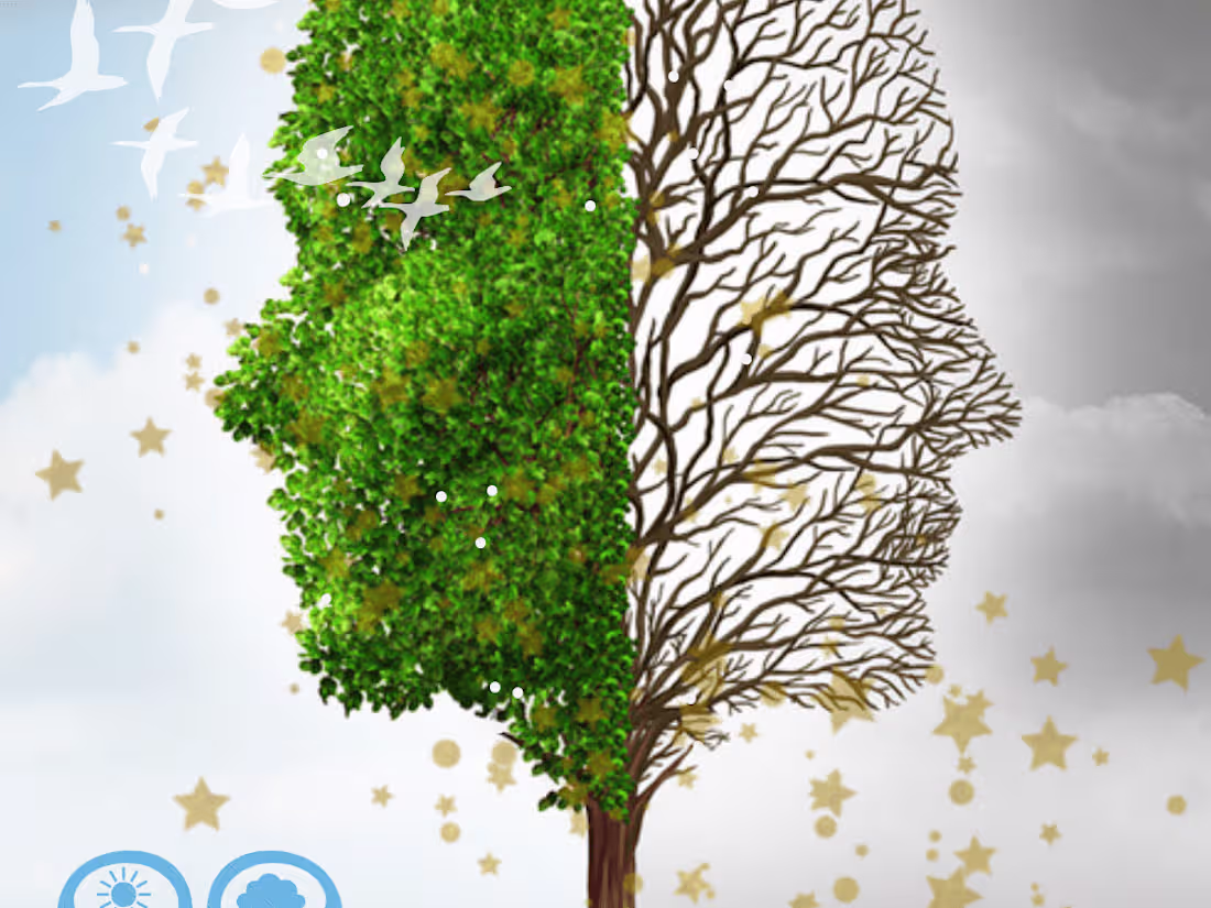 Cover image for Sample Designs