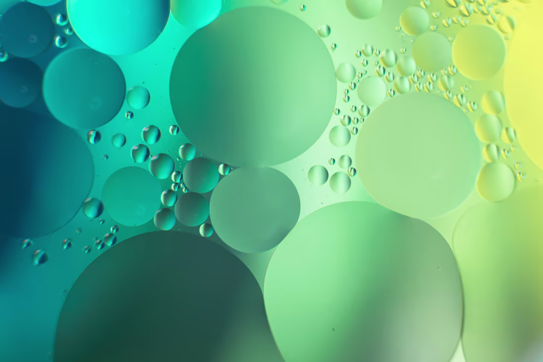 Cover image for Content Hub Audit