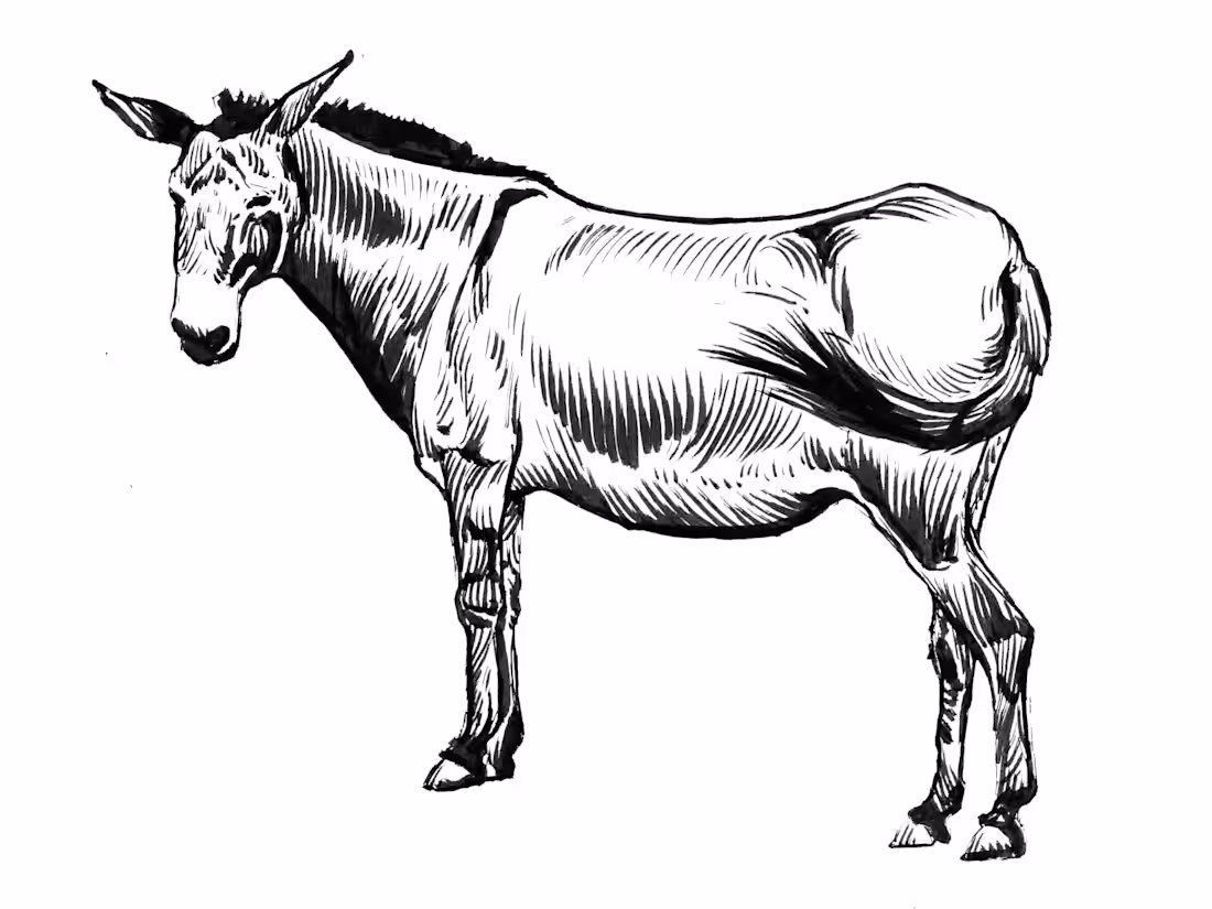 Cover image for The Bells Will Ring Tomorrow