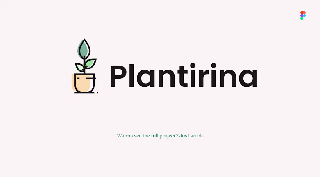 Cover image for Online Plant & Flower Store - Website on Behance