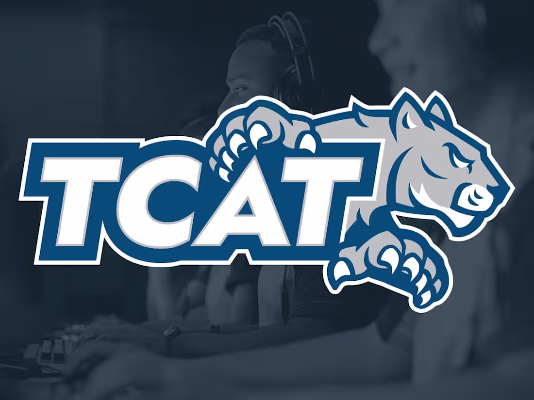 Cover image for Experienced creative offering identity solutions for business.