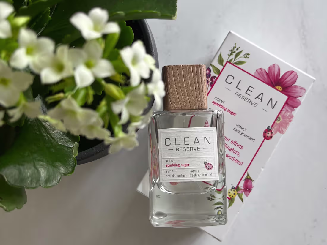 Cover image for UGC Creation