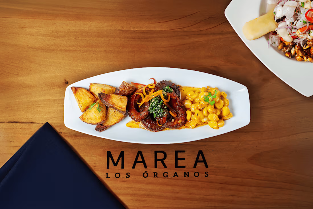Cover image for MAREA