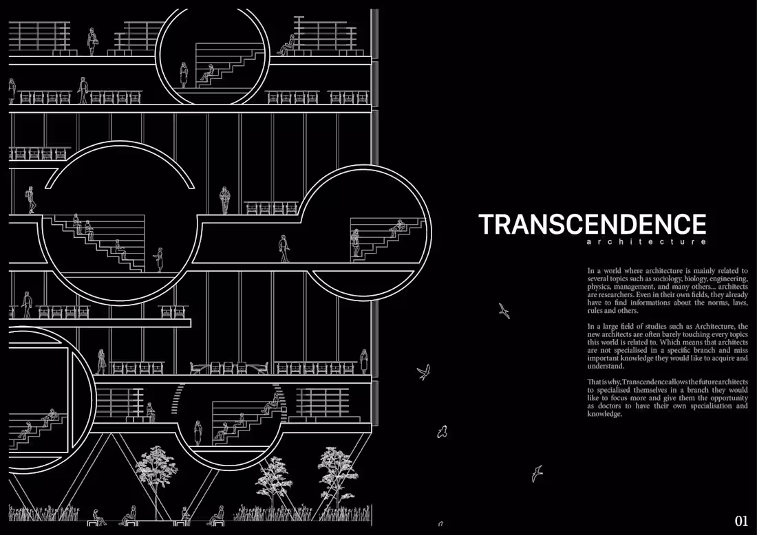 Cover image for TRANSCENDENCE