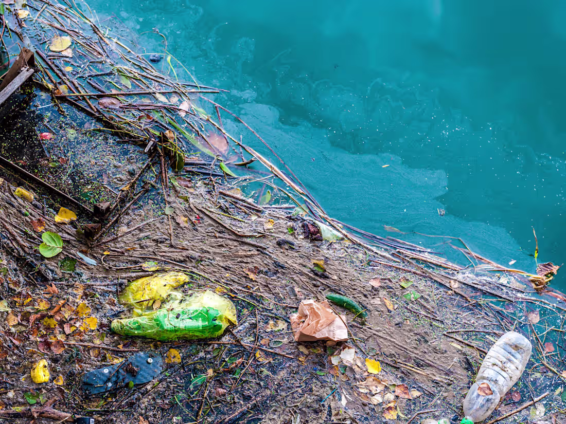 Cover image for Pollution