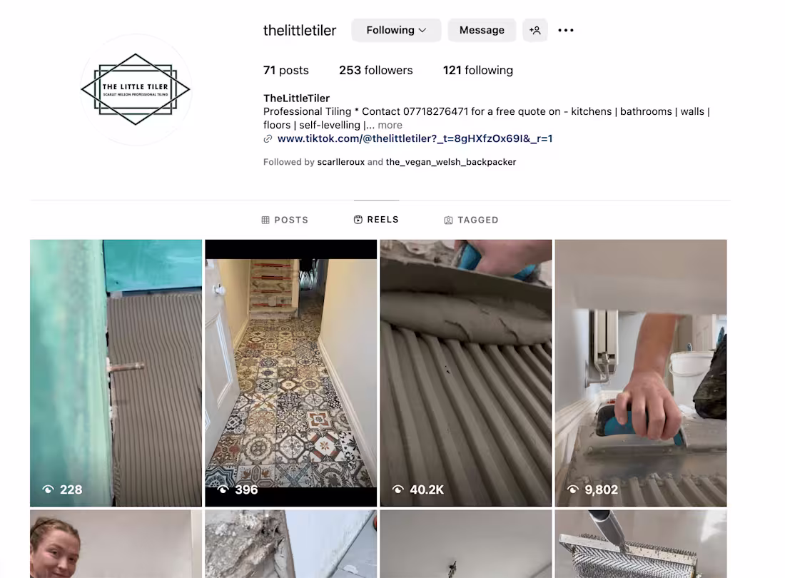 Cover image for The Little Tiler