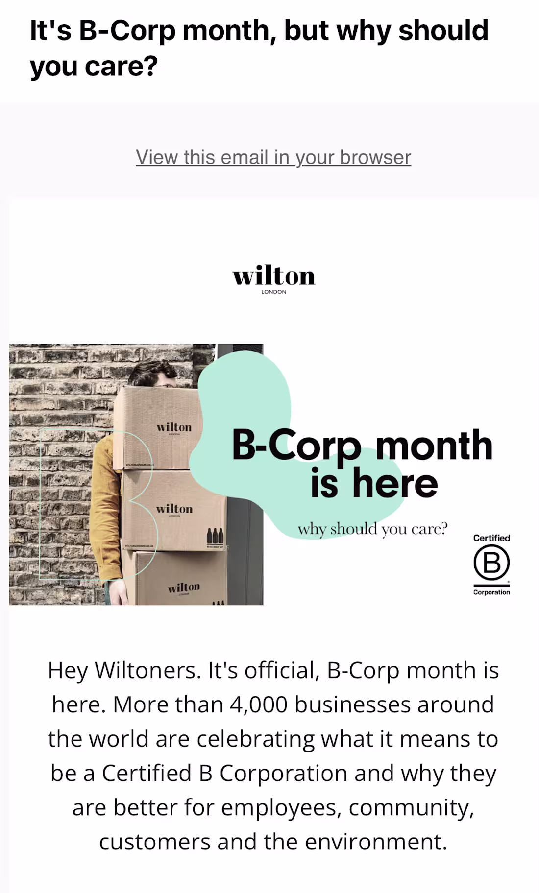 Cover image for Wilton London B-Corp Month Newsletter
