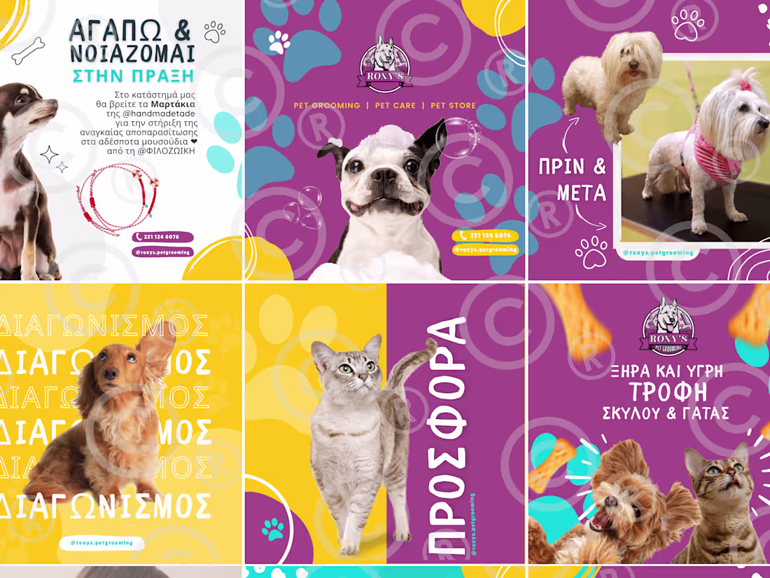 Cover image for ROXY'S PET GROOMING