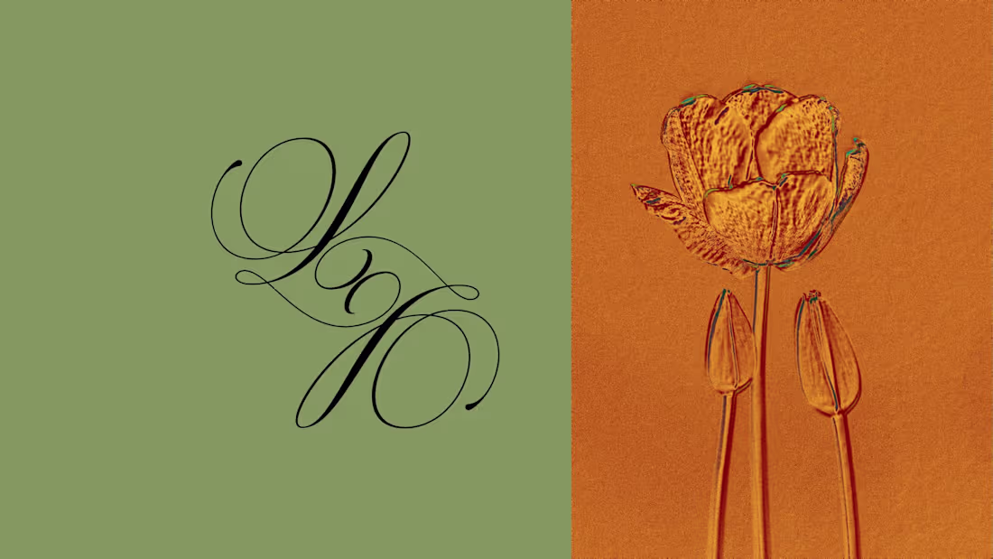 Cover image for Brand New — Brand Refresh