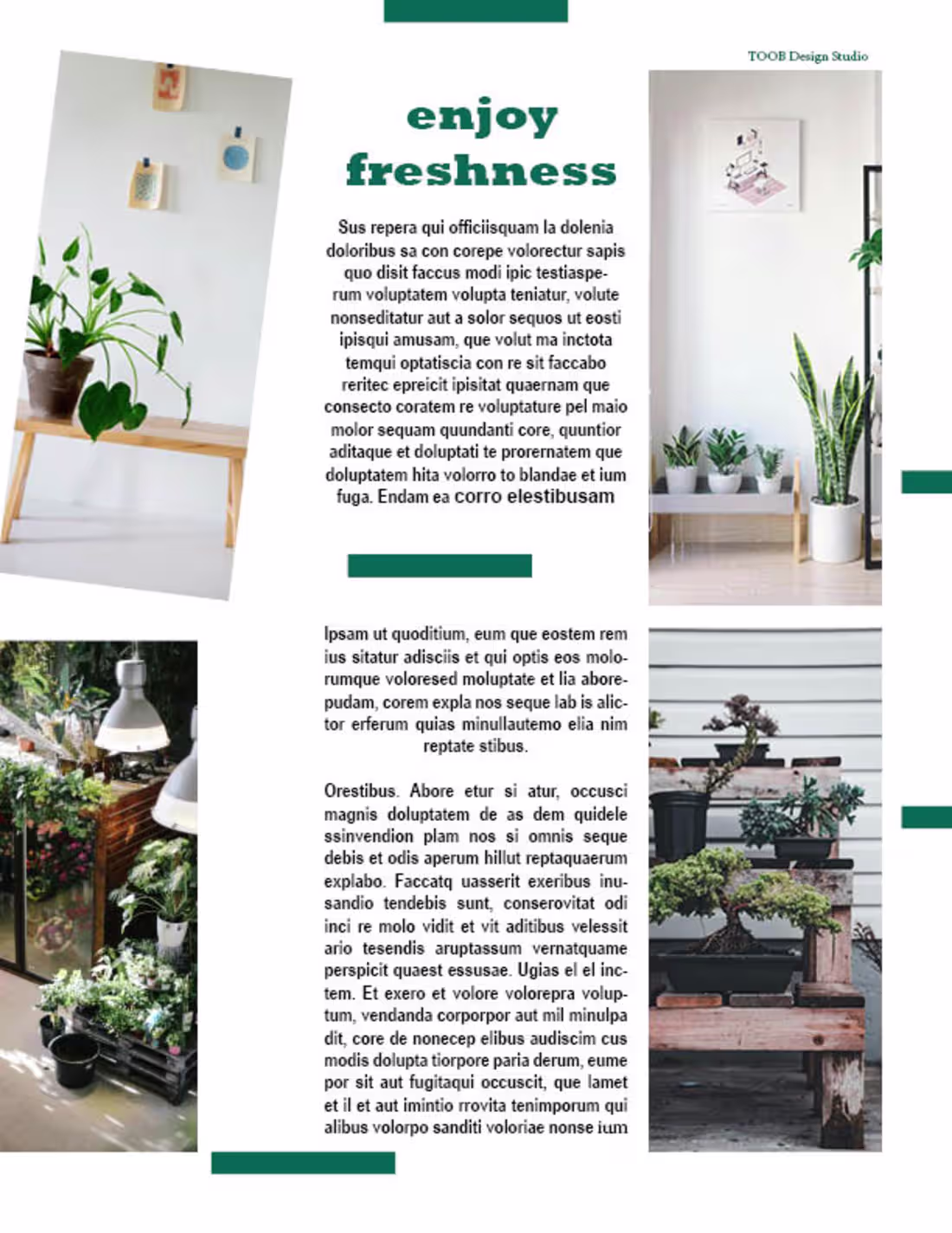 Cover image for Layout Design