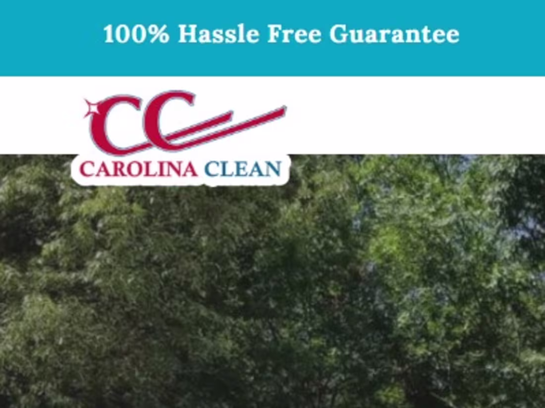 Cover image for Carolina Clean